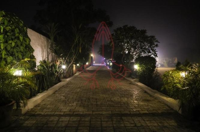 Luxury Farmhouse In Chhatarpur With Pool New Delhi Buitenkant foto